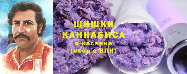 твердый Горно-Алтайск